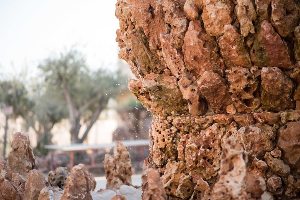 Kfar Hanokdim Arad Exteriör bild